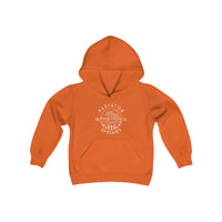 Radiator Springs Gildan Youth Heavy Blend Hooded Sweatshirt