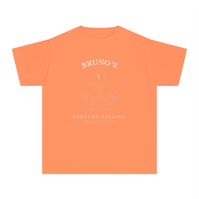 Bruno's Fortune Telling Comfort Colors Youth Midweight Tee