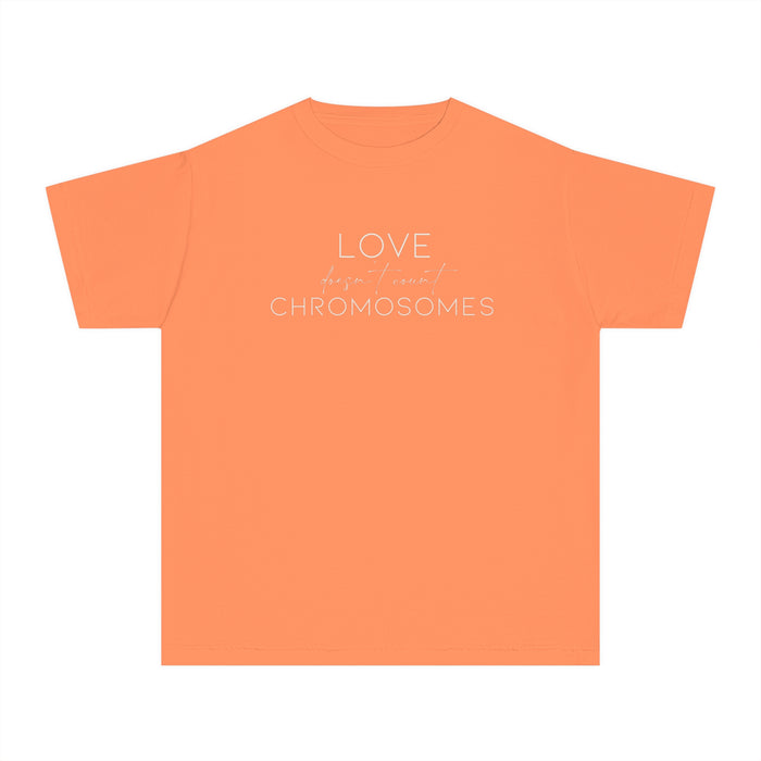 Love Doesn’t Count Chromosomes Comfort Colors Youth Midweight Tee